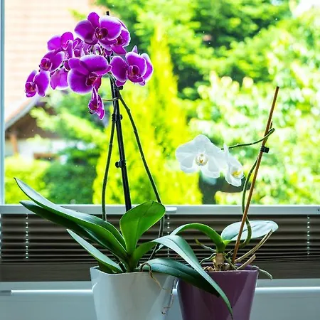 Minaroso Am Badeparadies 蒂蒂湖-新城